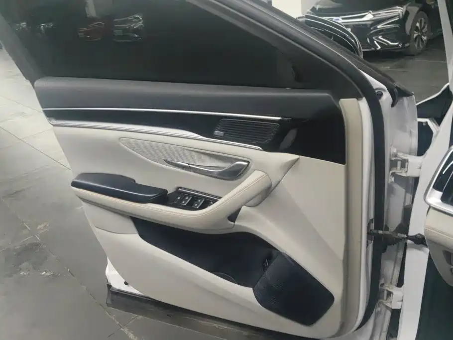 BYD PLUS New Energy — миниатюра 7