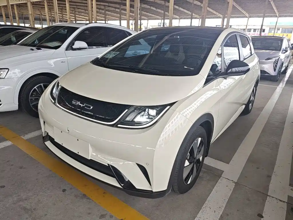 BYD Dolphin — миниатюра 2