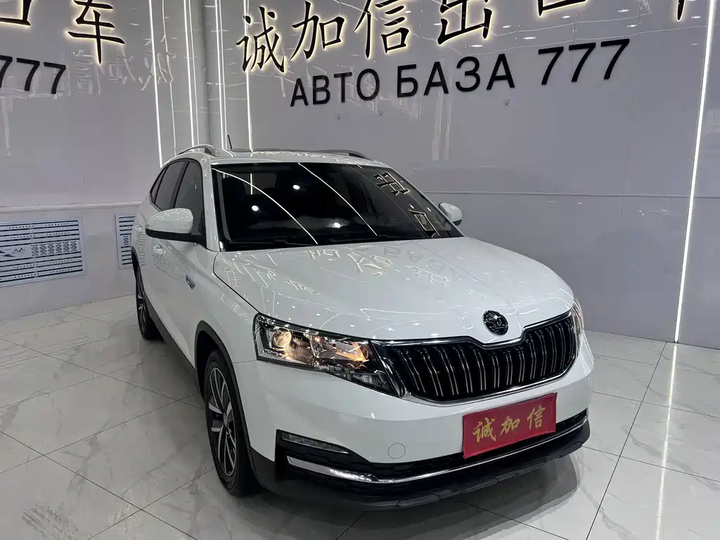 Skoda Kamiq — миниатюра 3