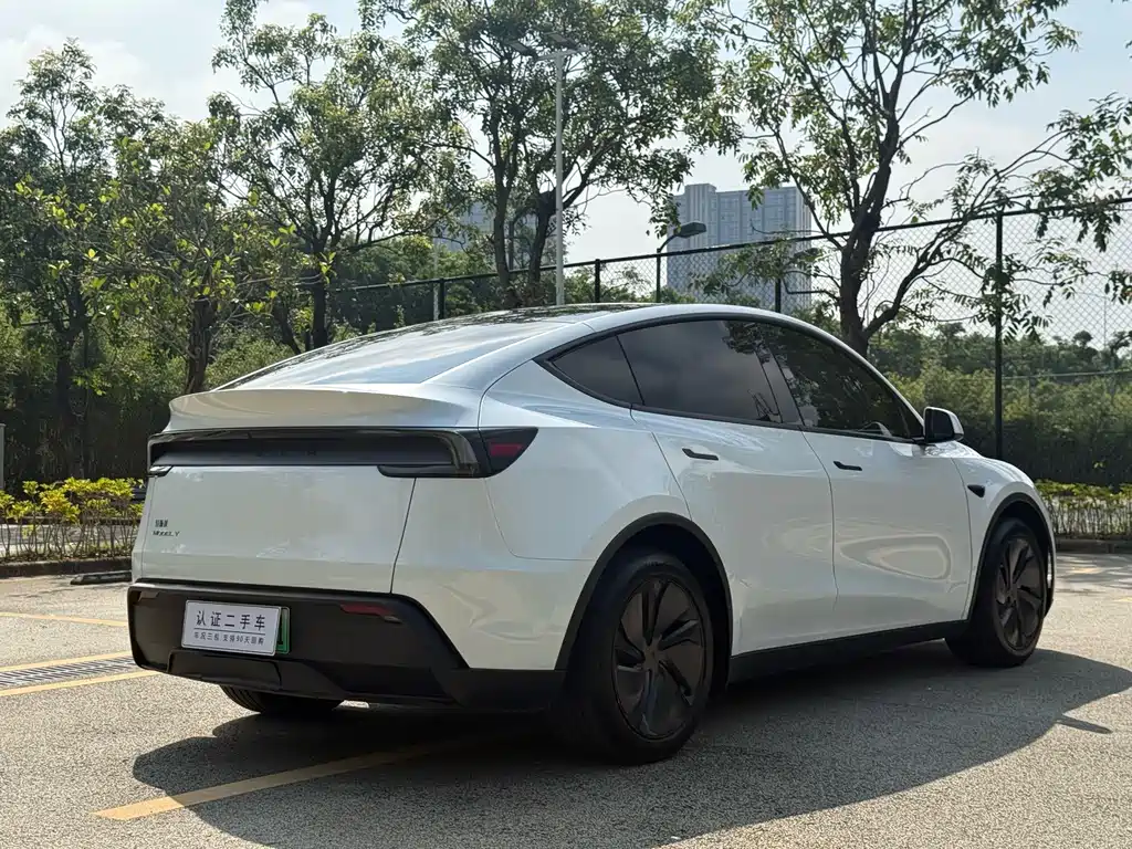 Tesla Model Y — миниатюра 14