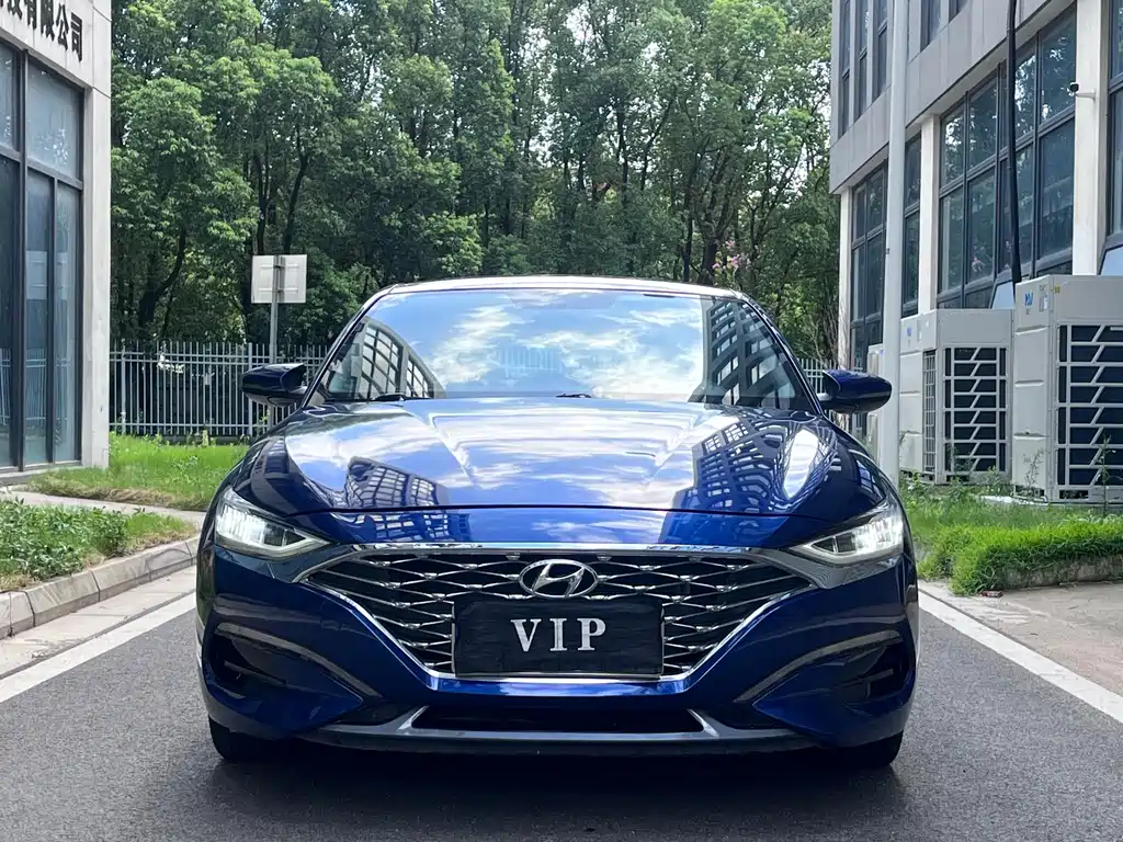 Hyundai Fista — миниатюра 2