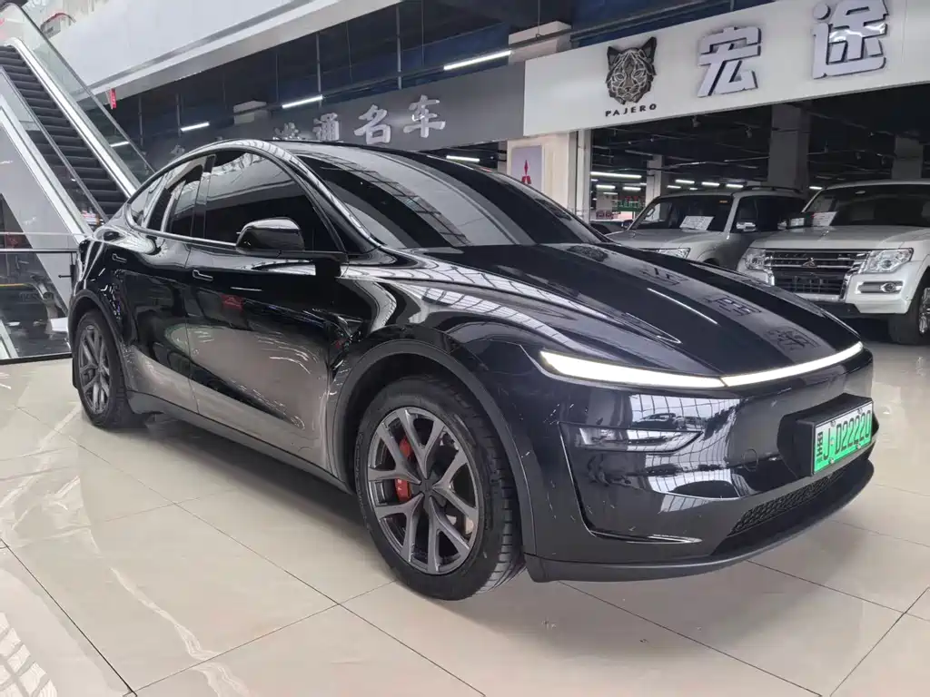 Tesla Model Y — миниатюра 3