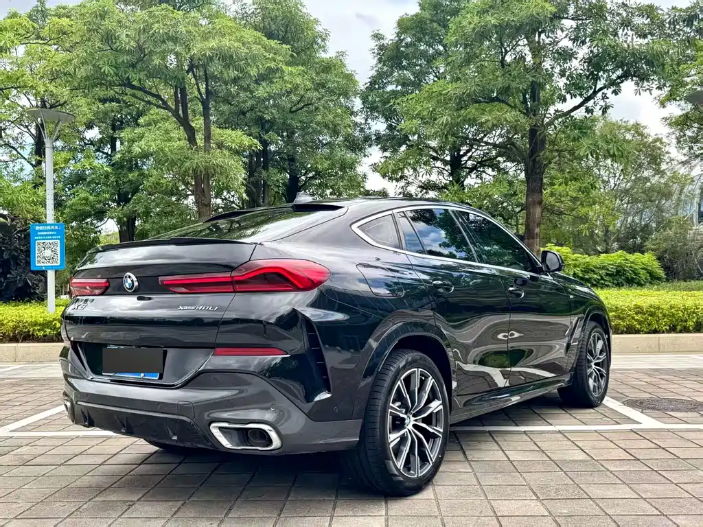 BMW X6 — миниатюра 8