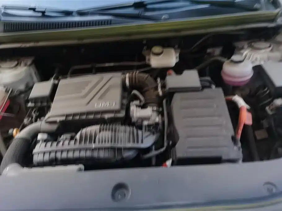 BYD SONGJIANG NEW ENERGY