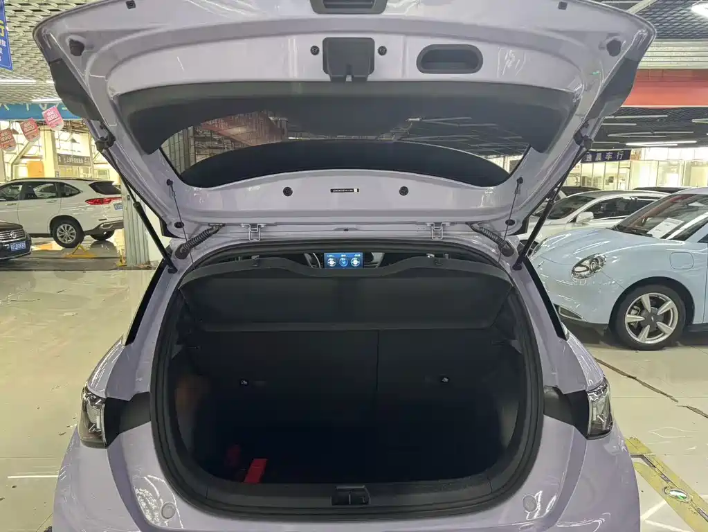 BYD Dolphin — миниатюра 12