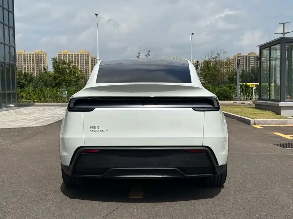 Tesla Model Y — миниатюра 5