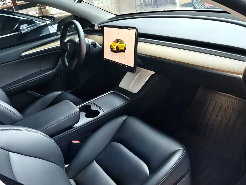 Tesla Model Y — миниатюра 4
