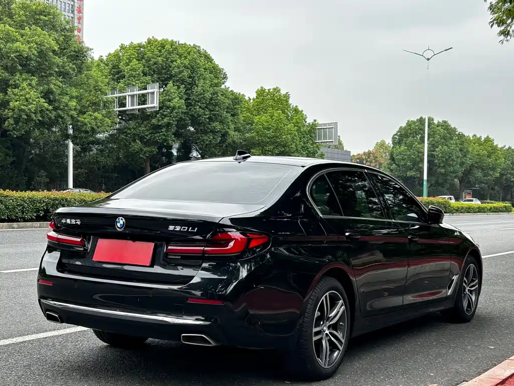 BMW 5 Series — миниатюра 4