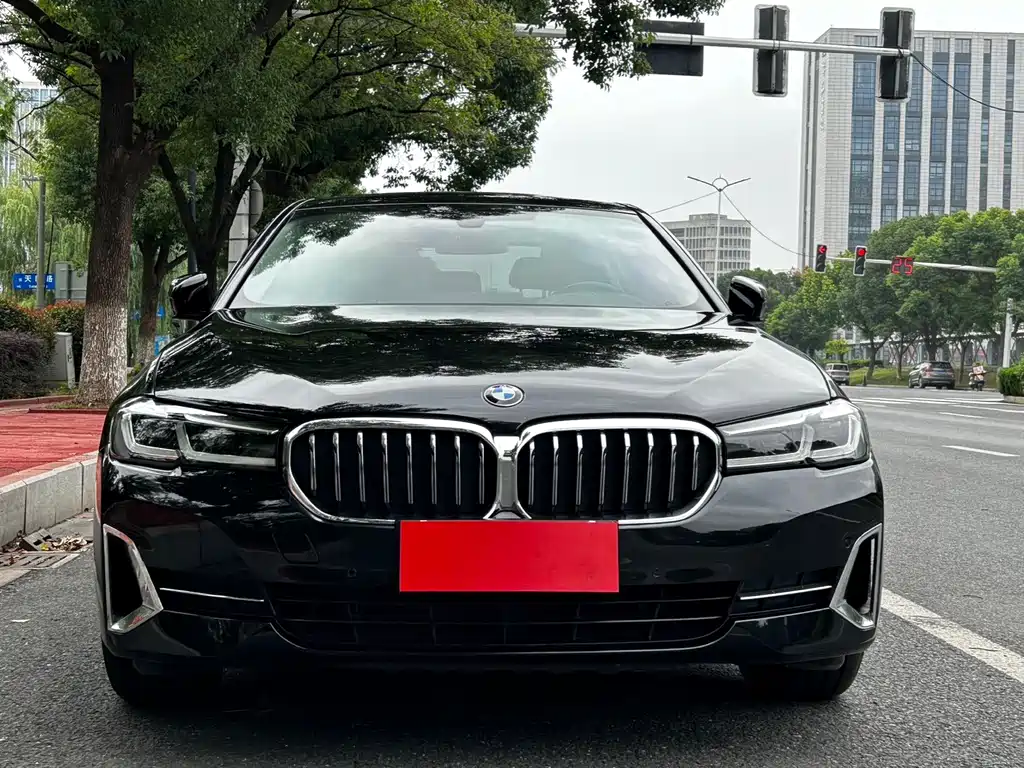 BMW 5 Series — миниатюра 2