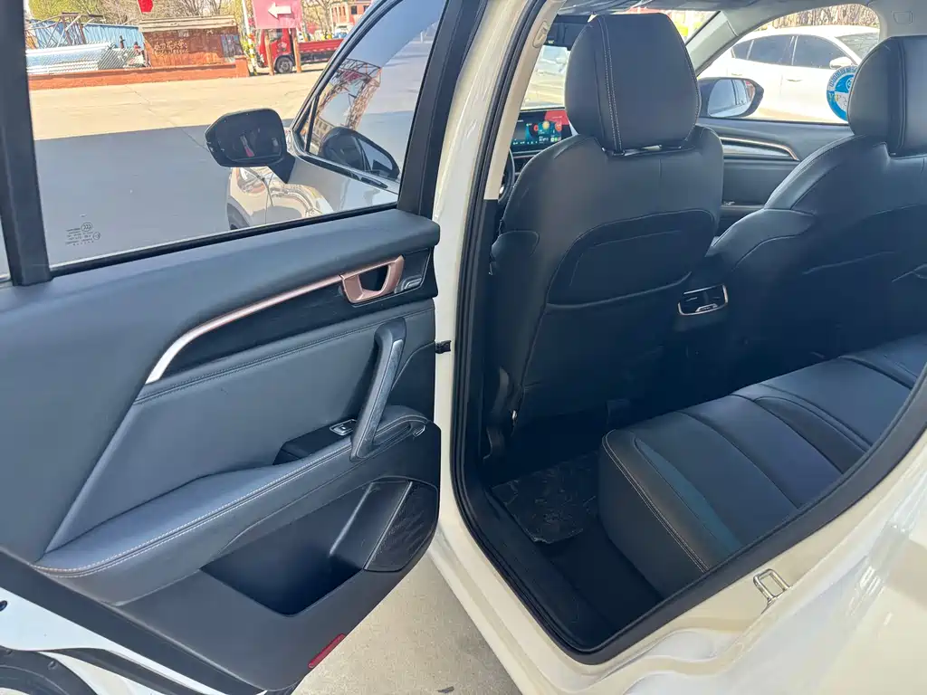 Baojun RS-5 2020 300T CVT Luxury