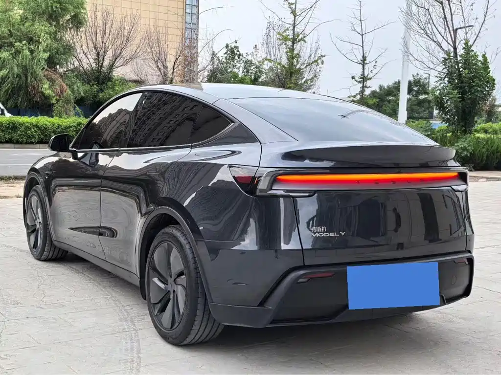 Tesla Model Y — миниатюра 7
