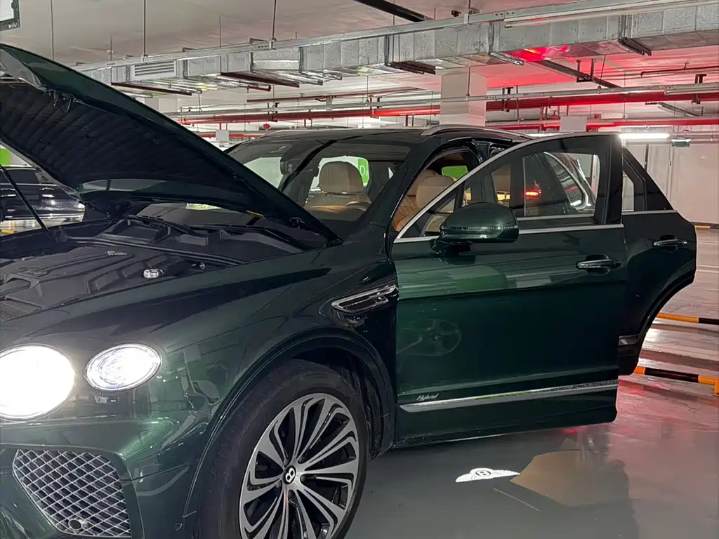 BENTLEY TIMYUE PLUG IN HYBRID