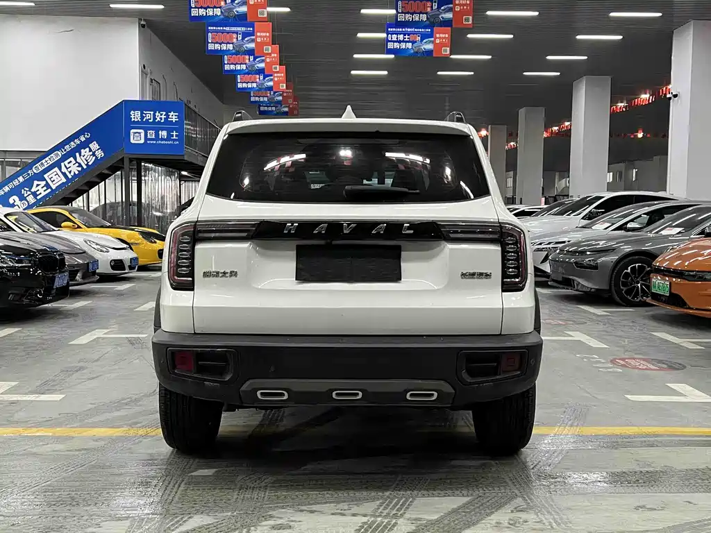 HAVAL BIG DOG