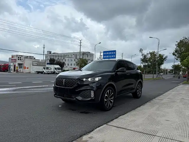 WEI PAI WEI BRAND VV6 2019