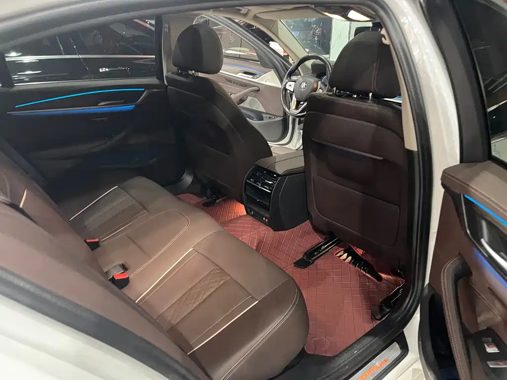 BMW 5 SERIES NEW ENERGY