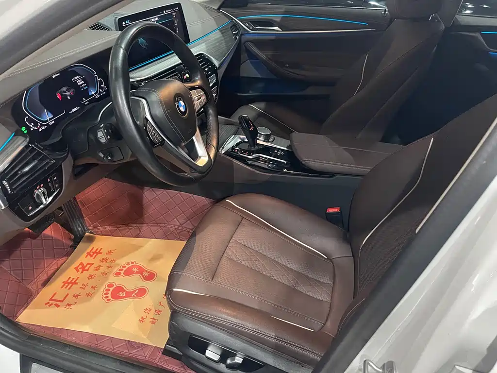 BMW 5 SERIES NEW ENERGY