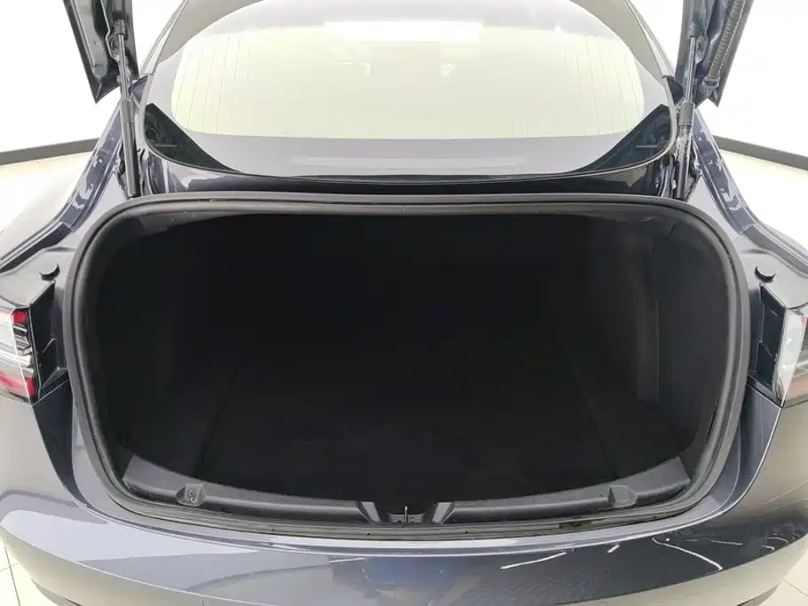 Tesla Model 3 — миниатюра 4