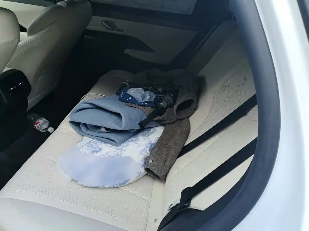 BYD Qin PLUS — миниатюра 13