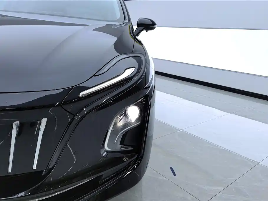 Hongqi HONGQI E QM5