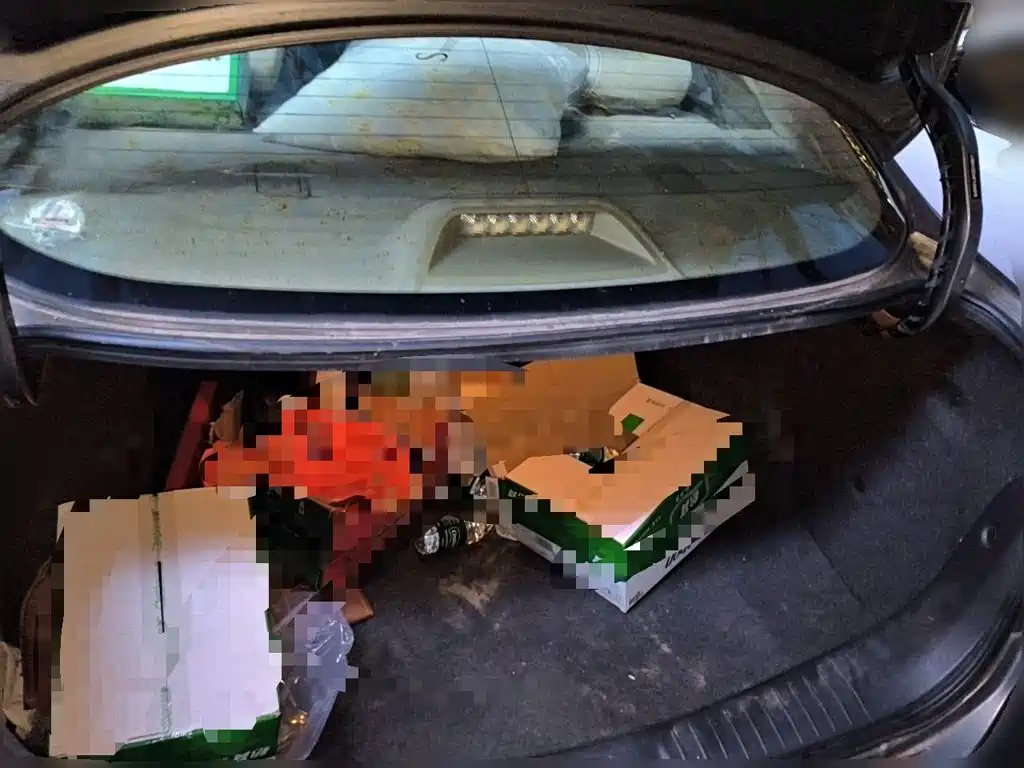 Nissan Sylphy — миниатюра 20