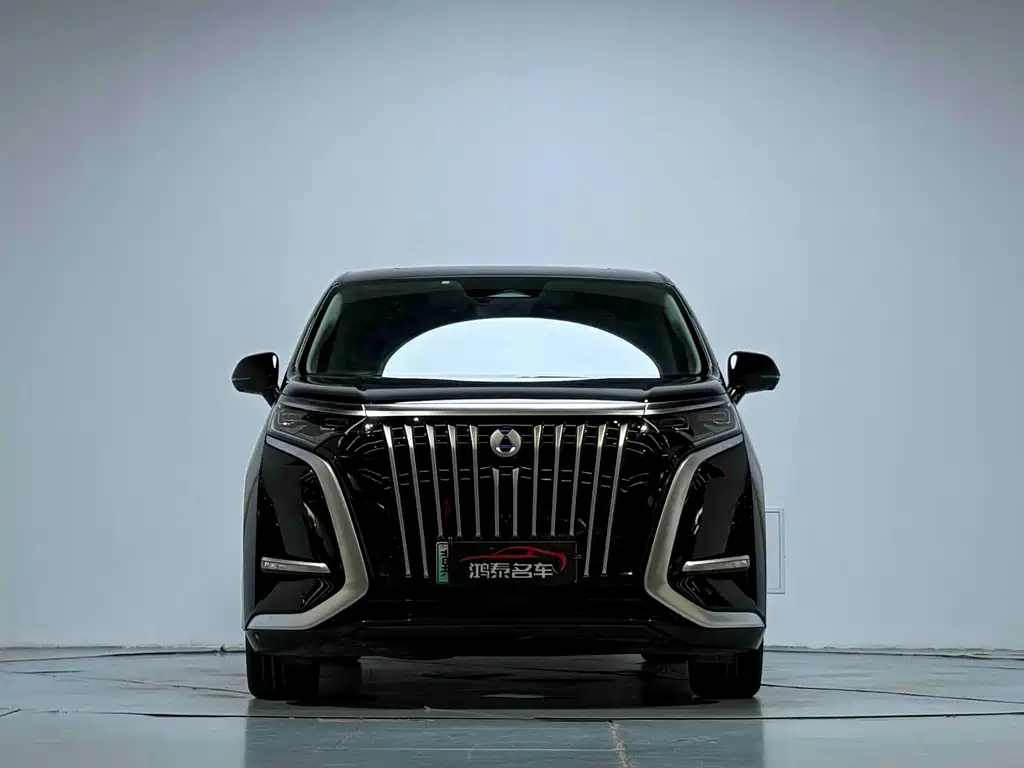 Denza Denza D9 — миниатюра 3