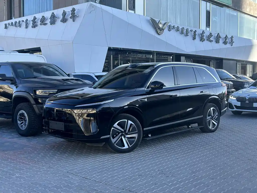 WEI PAI WEI BRAND BLUE MOUNTAIN