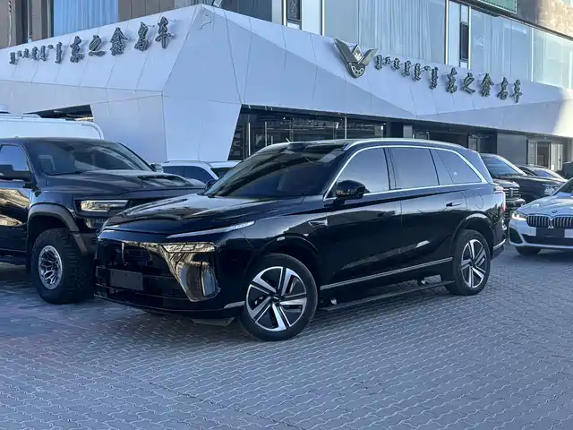 WEI PAI WEI BRAND BLUE MOUNTAIN 2025