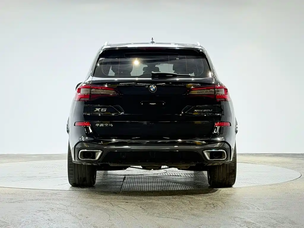 BMW X5 — миниатюра 6