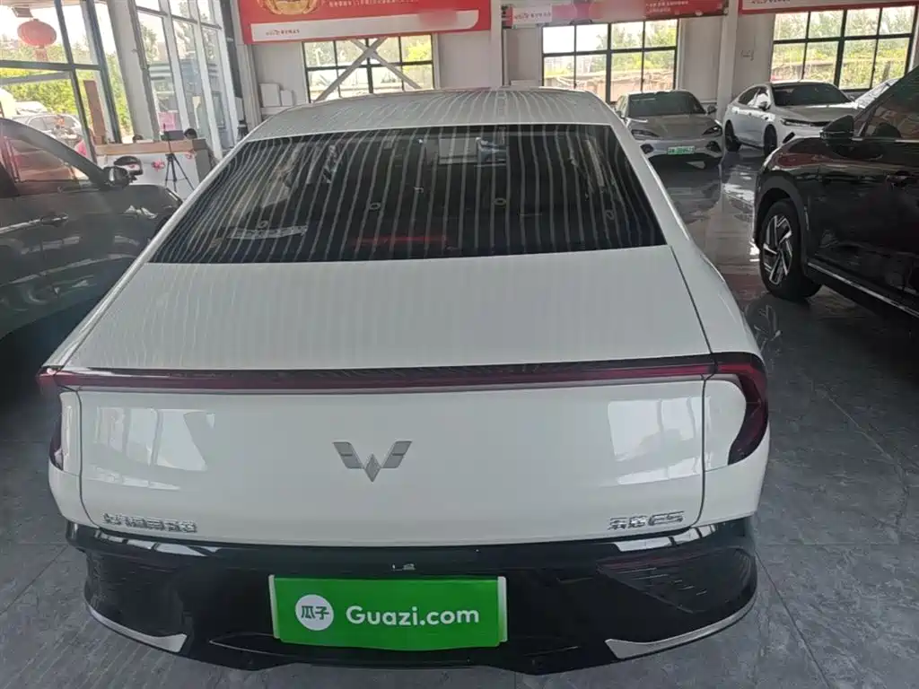 Wuling E5 2024 510km Standard
