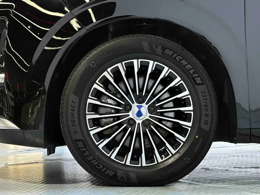 Denza Denza D9 — миниатюра 17