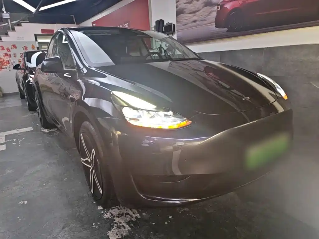 Tesla Model Y — миниатюра 4