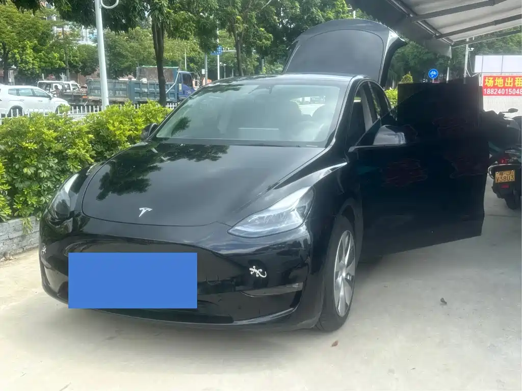 Tesla Model Y — миниатюра 3