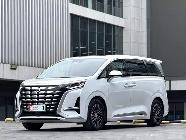 2023 Denza D9