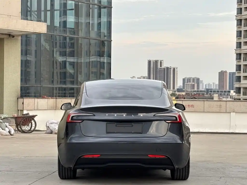 Tesla Model 3 — миниатюра 11