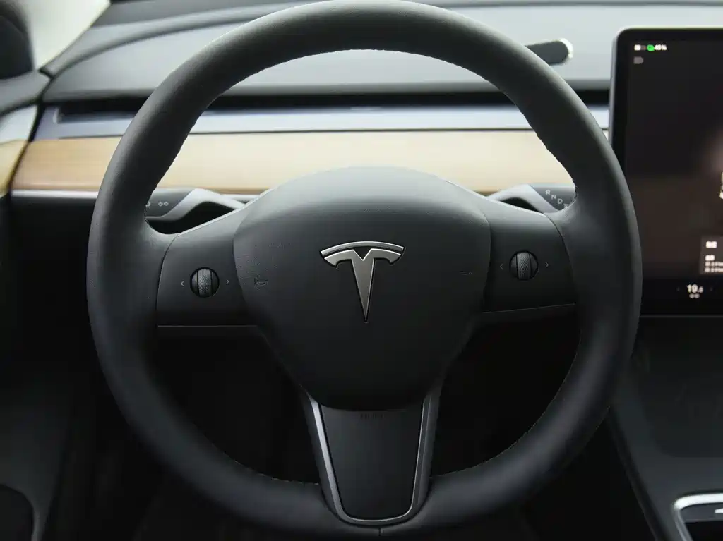 Tesla Model 3 — миниатюра 10