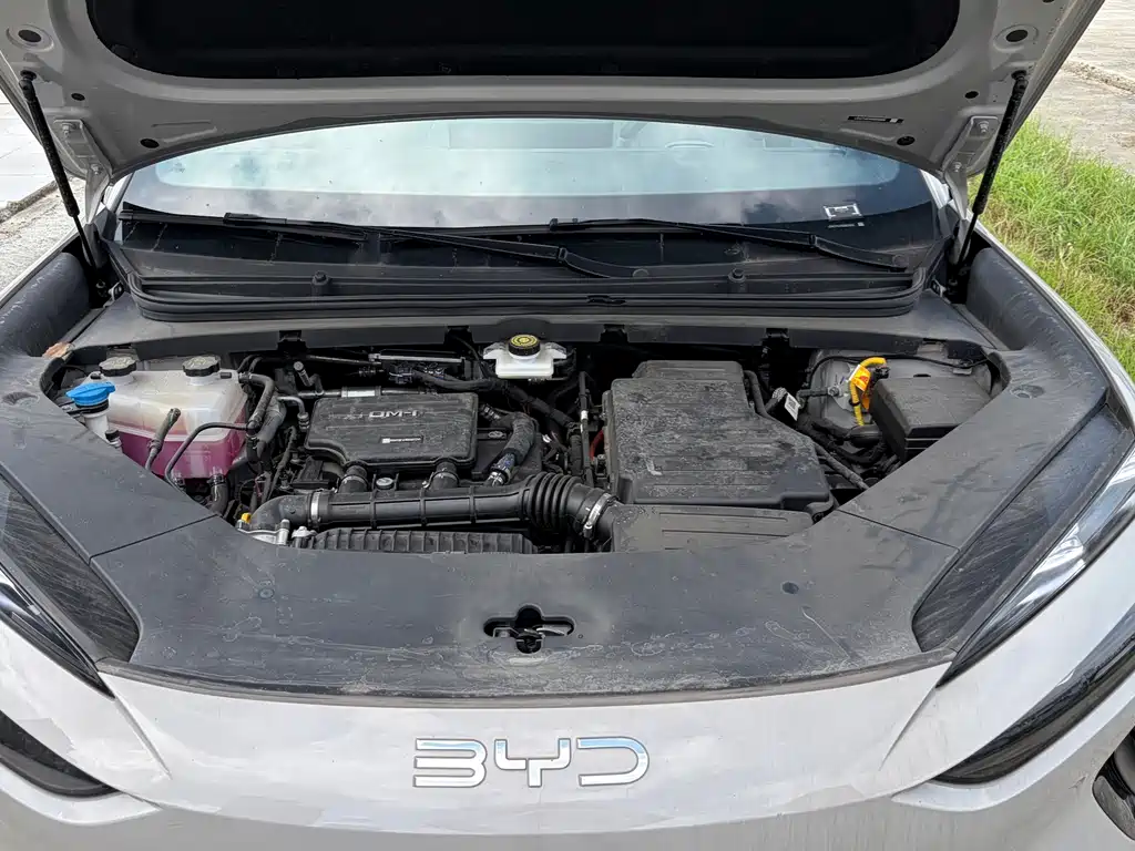 BYD Haisi 06 — миниатюра 9