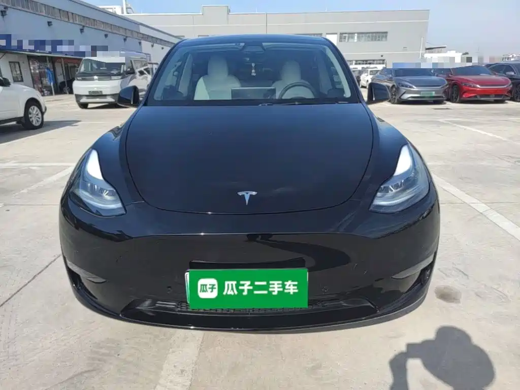 Tesla Model Y — миниатюра 3