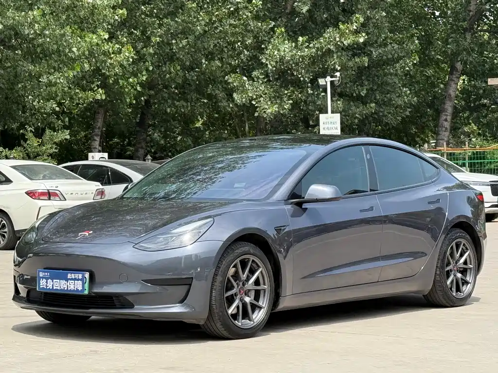 Tesla Model 3 2021 Standard Range RWD Upgrade Edition 3D6