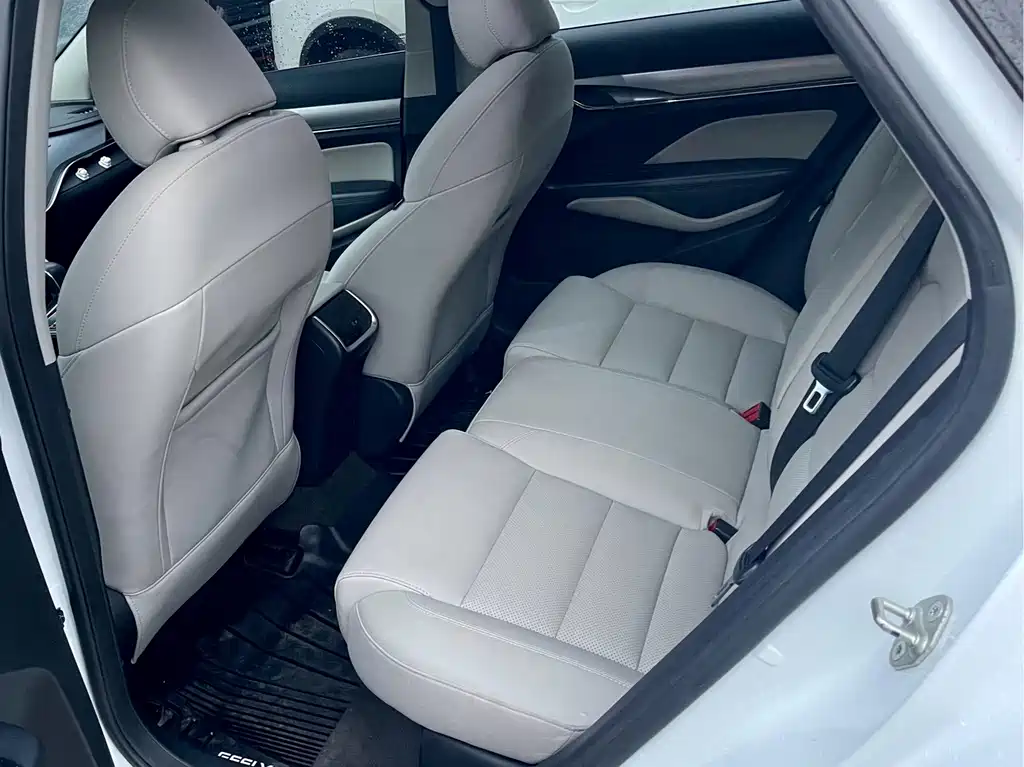 Geely Binrui — миниатюра 6