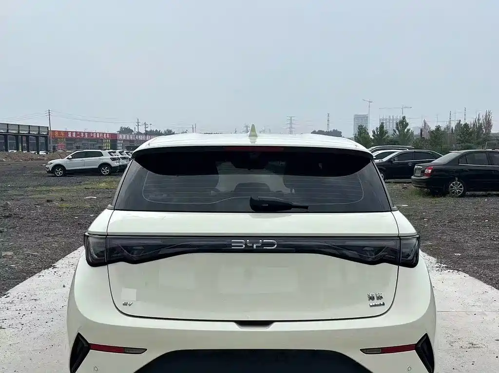 BYD Dolphin 2025 Smart Drive 420km Freedom