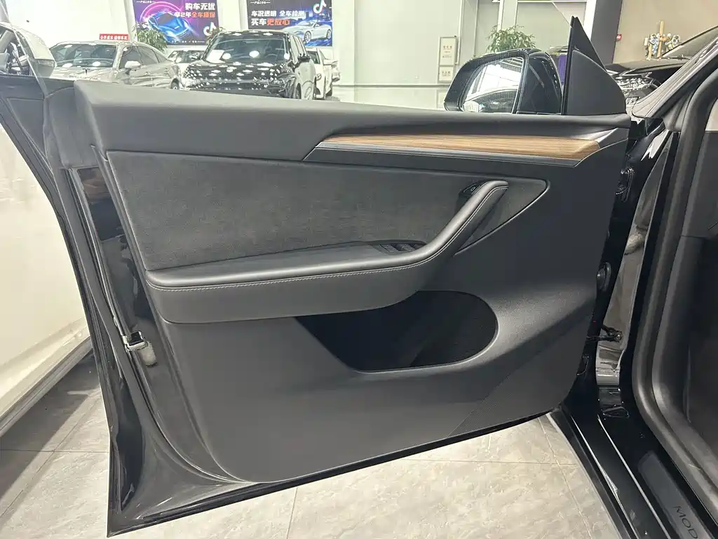Tesla Model Y — миниатюра 10