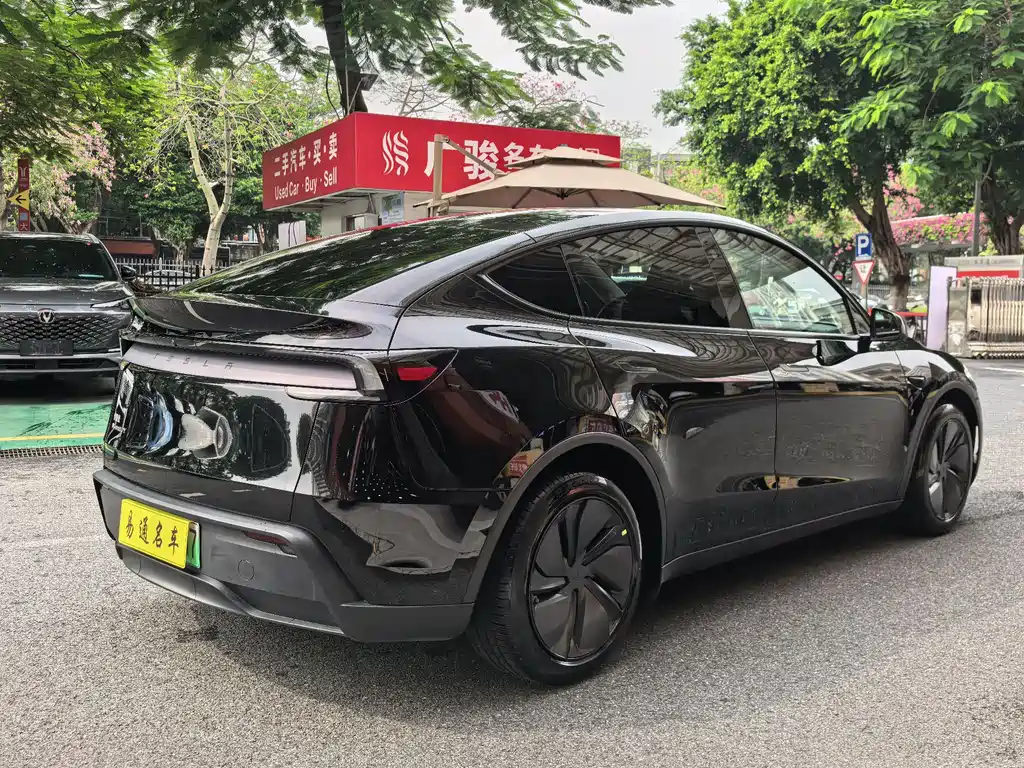 Tesla Model Y — миниатюра 4