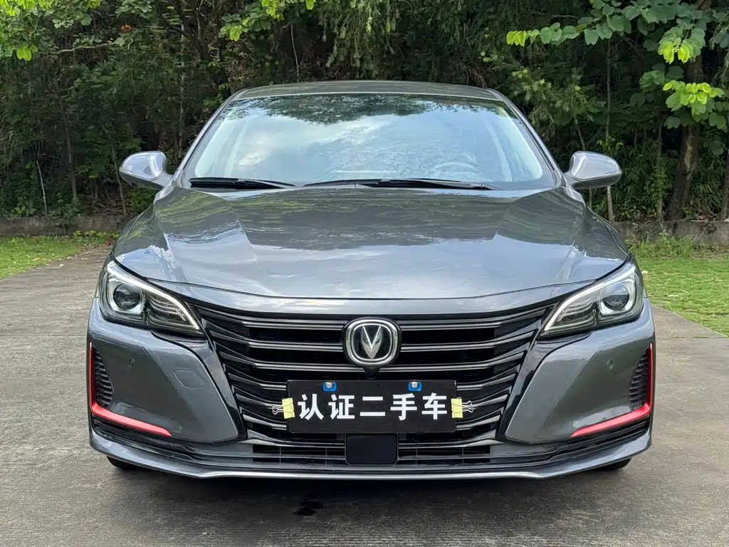 Changan Ruicheng CC — миниатюра 2