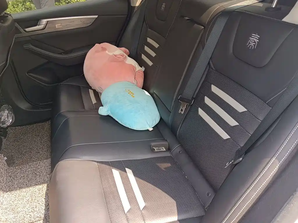 BYD Qin Pro NEV — миниатюра 13