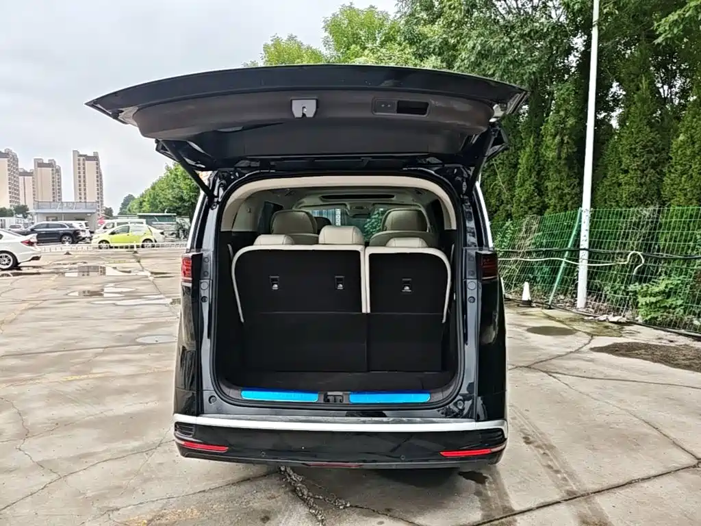 Denza Denza D9 — миниатюра 19