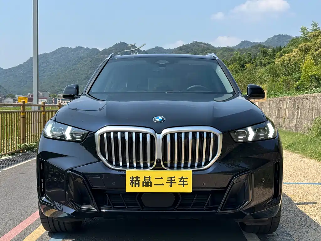BMW X5 — миниатюра 2