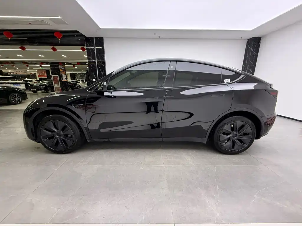 Tesla Model Y — миниатюра 10
