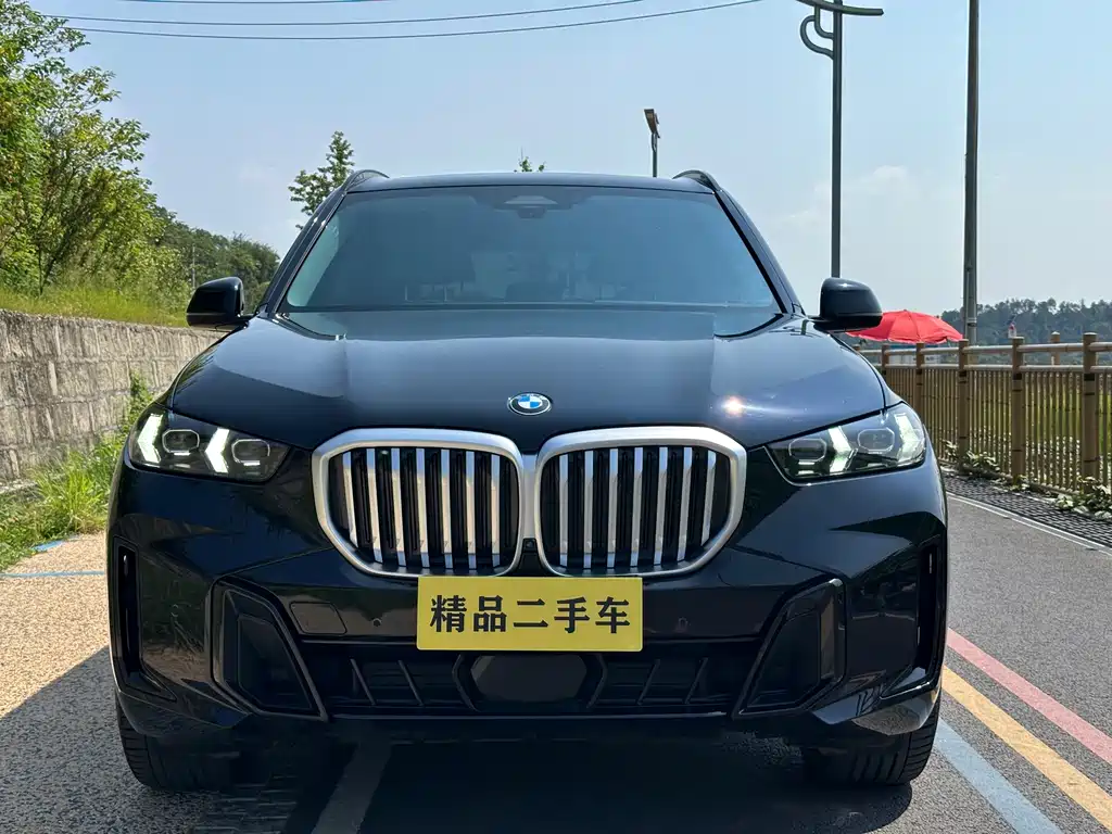 BMW X5 — миниатюра 2