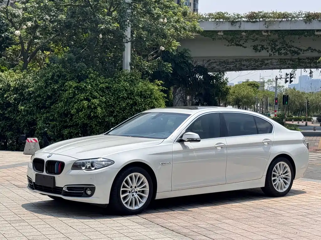 BMW 5 Series 5 2014 525Li Luxury