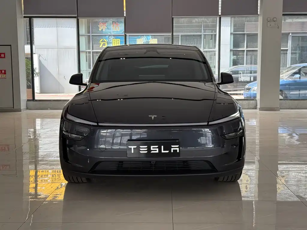 Tesla Model Y — миниатюра 2